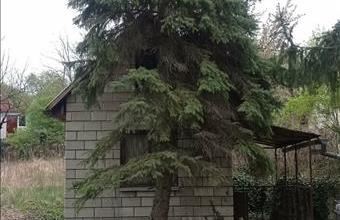 Eladó Sóskúti hétvégi ház hirdetés (47773953)