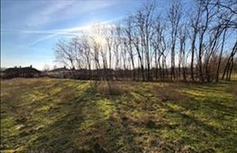 Eladó Újfehértói lakóövezeti telek hirdetés (39787957)