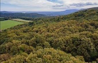 Eladó Kismarosi egyéb telek hirdetés (47595398)