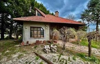 Eladó Töltéstavai üzlethelyiség üzletházban hirdetés (44543333)