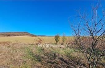 Eladó Pilisborosjenői külterületi telek hirdetés (44294931)