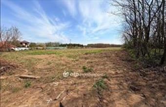 Eladó Nyíregyházai külterületi telek hirdetés (73384747)