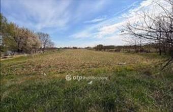 Eladó Nyíregyházai külterületi telek hirdetés (43276443)