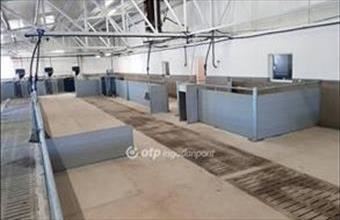 Eladó Hajdúdorogi fejlesztési lakóterület hirdetés (52729744)