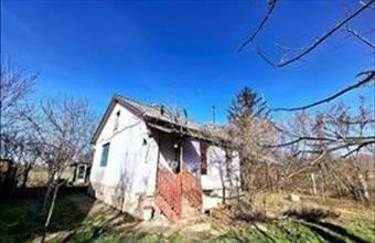 Eladó Berettyóújfalui tanya hirdetés (54979311)