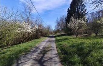 Eladó Zalaapáti egyéb ház hirdetés (46769533)