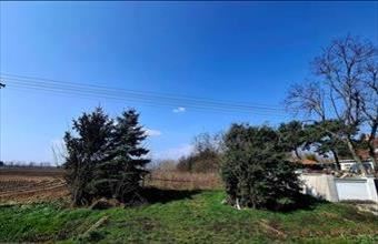 Eladó Ibrányi egyéb telek hirdetés (66992958)