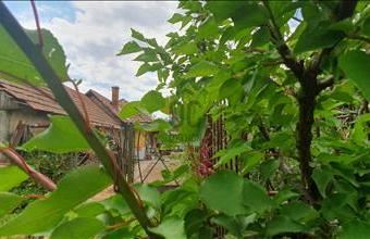 Eladó Karácsondi családi ház hirdetés (84397442)