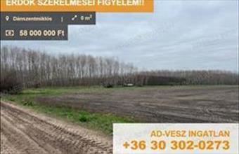 Eladó Dánszentmiklósi erdő hirdetés (59362162)