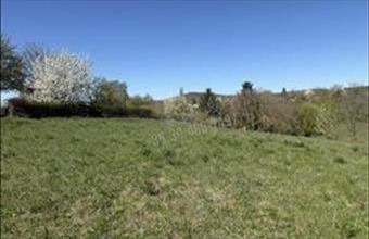 Eladó Váci egyéb telek hirdetés (23527749)