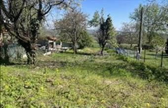 Eladó Mogyoródi egyéb telek hirdetés (54972996)