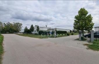 Eladó Székesfehérvári raktár hirdetés (32836848)