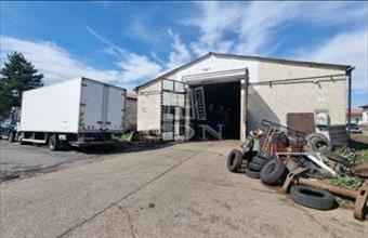 Kiadó Székesfehérvári raktár hirdetés (29771454)