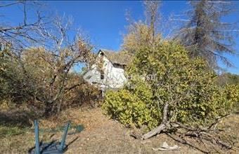 Eladó Kecskeméti családi ház hirdetés (67593243)