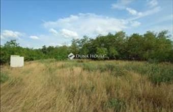 Eladó Kecskeméti tanya hirdetés (69638483)