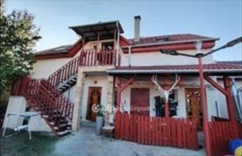 Eladó Vecsési családi ház hirdetés (51393274)