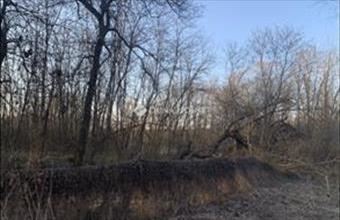 Eladó Őrbottyáni külterületi telek hirdetés (73318747)