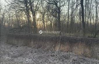 Eladó Őrbottyáni külterületi telek hirdetés (44326394)