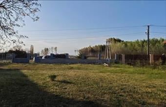 Eladó Pilisi egyéb telek hirdetés (54334384)