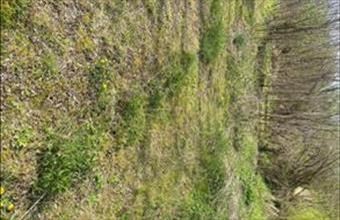 Eladó Zalabéri lakóövezeti telek hirdetés (95744597)