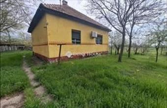Eladó Kiskunfélegyházai tanya hirdetés (42272363)
