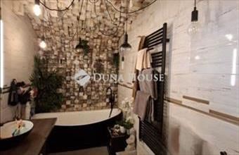 Eladó Vecsési családi ház hirdetés (83592699)