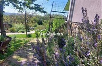 Eladó Balatonszőlősi üdülő hirdetés (61957334)