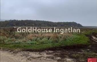 Eladó Solymári lakóövezeti telek hirdetés (42367532)