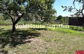 Eladó Solymári lakóövezeti telek hirdetés (42823434)