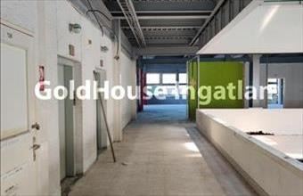 Kiadó Budapest X. kerületi egyéb üzlethelyiség hirdetés (19442356)