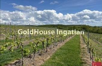 Eladó Noszvaji lakóövezeti telek hirdetés (64358896)