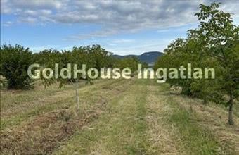 Eladó Noszvaji lakóövezeti telek hirdetés (46443782)