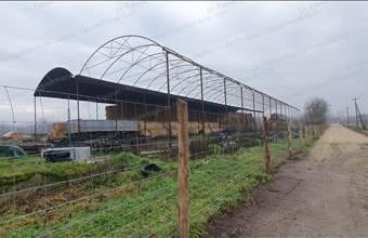 Eladó Lébényi telephely hirdetés (57929693)