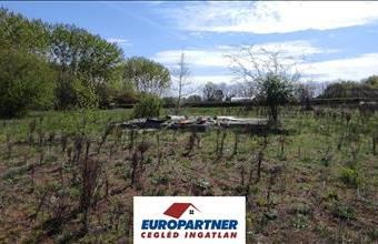 Eladó Tápiószentmártoni egyéb telek hirdetés (77267476)
