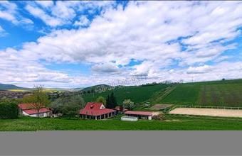 Eladó Rádi egyéb mezőgazdasági ingatlan hirdetés (73644555)