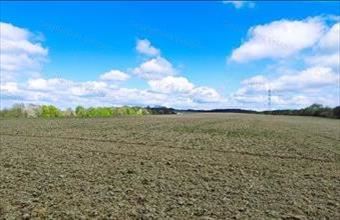 Eladó Szentgáli termőföld, szántó hirdetés (68153578)