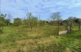 Eladó Törökszentmiklósi egyéb mezőgazdasági ingatlan hirdetés (86452659)