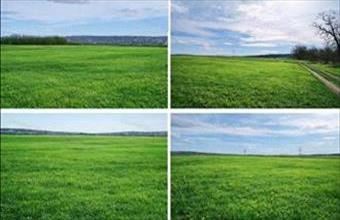 Eladó Budapest XV. kerületi termőföld, szántó hirdetés (57433389)