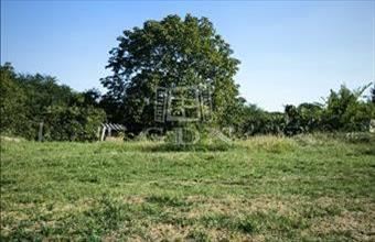 Eladó Erdőkertesi lakóövezeti telek hirdetés (38457323)