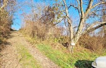 Eladó Zalabéri lakóövezeti telek hirdetés (61448444)