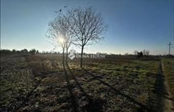 Eladó Balatonvilágosi külterületi telek hirdetés (43777679)