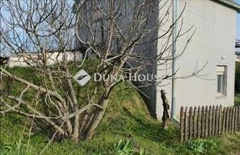 Eladó Mohácsi hétvégi ház hirdetés (41845679)