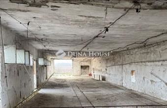 Kiadó Kecskeméti pince, présház hirdetés (77346372)