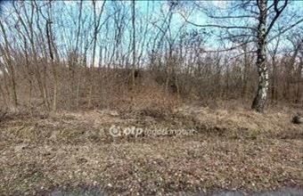 Eladó Tarjánpusztai lakóövezeti telek hirdetés (84733355)