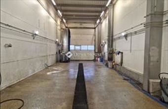 Kiadó Kecskeméti raktár hirdetés (73795769)