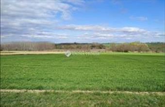 Eladó Tápszentmiklósi lakóövezeti telek hirdetés (35773673)