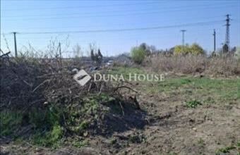 Eladó Szegedi termőföld, szántó hirdetés (58965564)