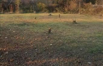 Eladó Érdi lakóövezeti telek hirdetés (35924343)