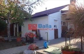 Eladó Tiszakécskei hétvégi ház hirdetés (39777333)