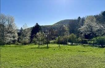 Eladó Budapest II. kerületi külterületi telek hirdetés (73277644)